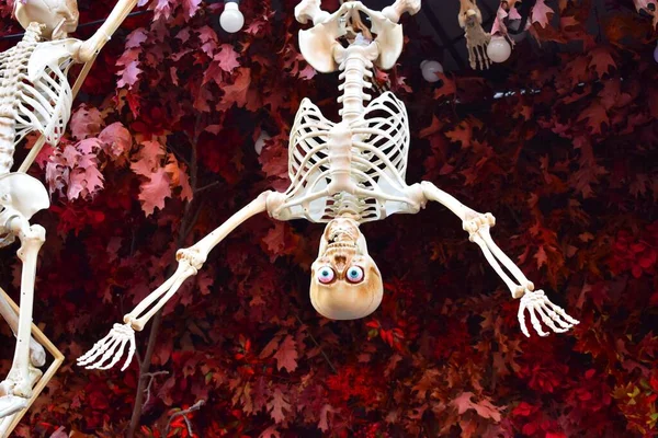 Halloween Dekoration Form Ett Plastskelett — Stockfoto
