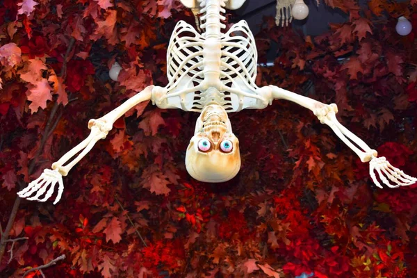 Halloween Dekoration Form Ett Plastskelett — Stockfoto