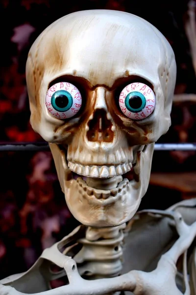 Halloween Decoratie Vorm Van Een Plastic Skelet — Stockfoto