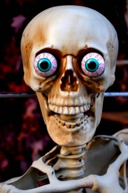 Plastik iskelet şeklinde Cadılar Bayramı süslemesi