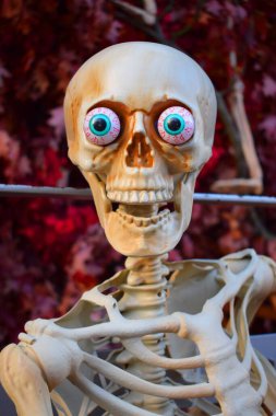 Plastik iskelet şeklinde Cadılar Bayramı süslemesi