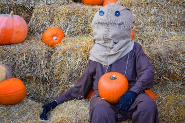 Balkabağı ve korkulukla Cadılar Bayramı süslemesi