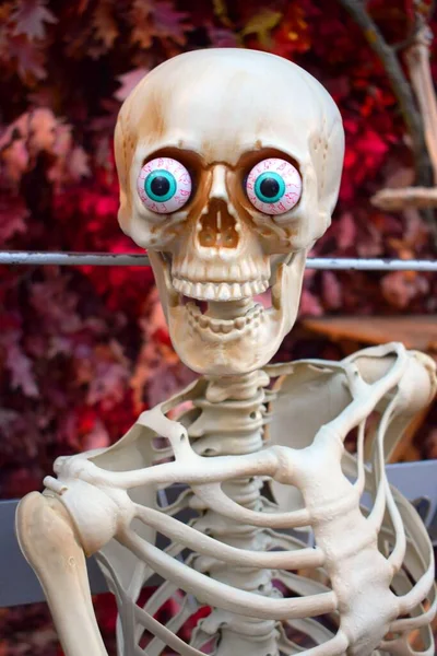 Halloween Decoratie Vorm Van Een Plastic Skelet — Stockfoto