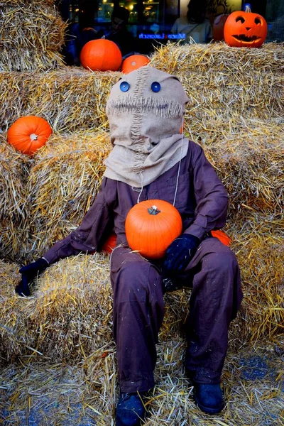 Halloween Decoration Pumpkins Scarecrow — Stock Photo, Image