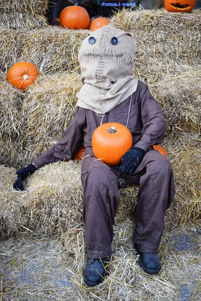 Halloween Decoration Pumpkins Scarecrow — Stock Photo, Image