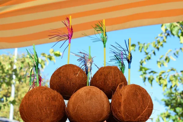 Sale Coconuts Market — ストック写真