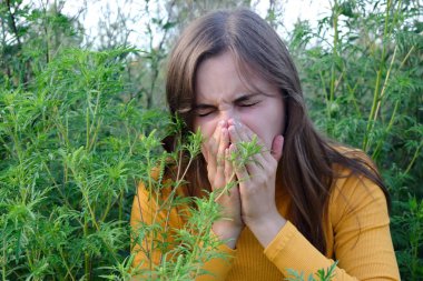 The girl sneezes against the background of ragweed. Ambrosia pollen allergy concept.