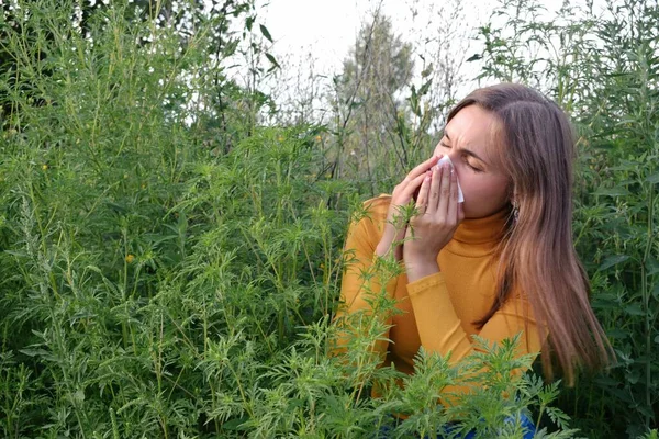 Girl Sneezes Background Ragweed Ambrosia Pollen Allergy Concept Лицензионные Стоковые Изображения