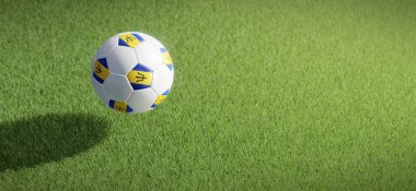 Futbol ya da futbol topu tasarımı Barbados bayrağıyla çimen zeminine karşı. 3B görüntüleme