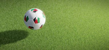 Futbol ya da futbol topu tasarımı Jordan bayrağı ile çimen zeminine karşı. 3B görüntüleme