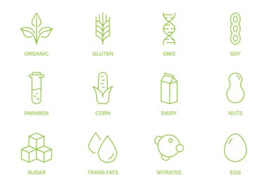 GDO, Süt, Şeker, Glüten, Fındık, Mısır, Paraben, Nitrat, Trans Fat, Soya, Süt ve Yumurta Çizgisi Yeşil İşaret Kümesi. Vegan Gıda Ürünleri Taslak Simgesi. Organik Alerji Malzeme Hattı Logosu. Vektör İllüstrasyonu.