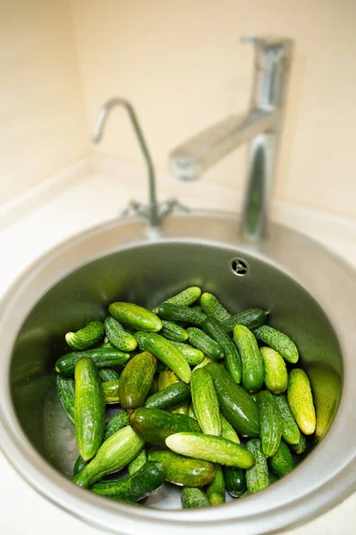 Small Cucumbers Washed Kitchen Sink — Photo