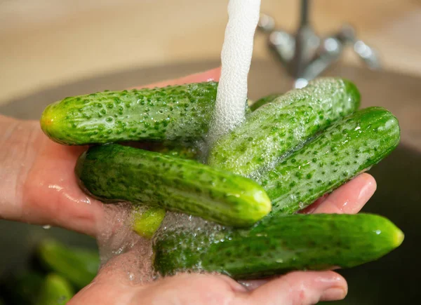 Each Organic Cucumber Thoroughly Washed Running Water Canning — Stockfoto
