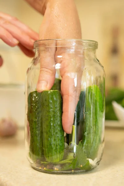 Woman Puts Cucumbers Canning Jar — 스톡 사진