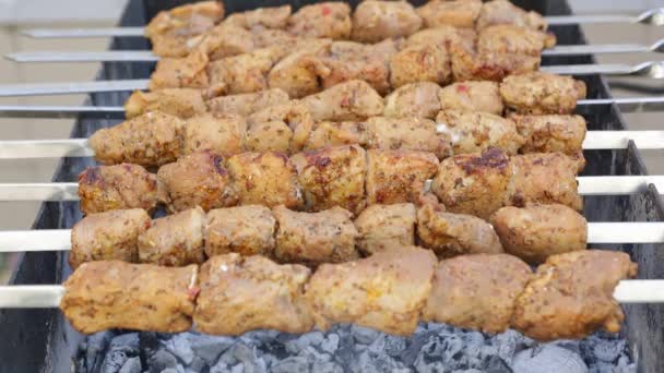 Shashlyk Grilled Barbecue Smoke Rises Coals — стоковое видео