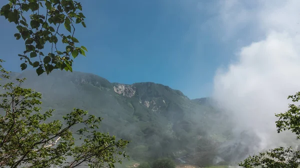 Una Cordillera Contra Cielo Azul Primer Plano Hay Ramas Hojas — Foto de Stock