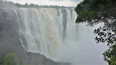 Zambezi Nehri yaylanın kenarından vadiye doğru akmaktadır. Uçurumun üzerinde yoğun bir sis var. Ön planda yeşil ağaç dalları var. Victoria Falls. Zimbabwe.