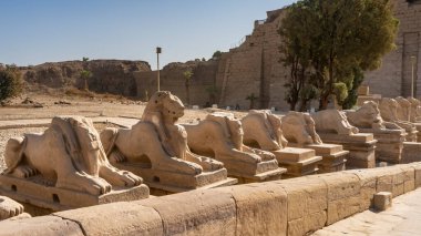 Luxor Karnak Tapınağı 'nda benzersiz bir sfenks sokağı. Antik ayin heykelleri harap olmuş. Güneşli bir yaz günü. Mısır.
