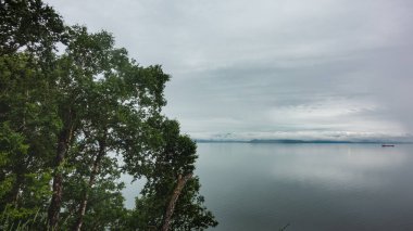 Suya eğilmiş yeşil ağaçlar. Okyanusun pürüzsüz yüzeyinde yalnız bir tekne görülebilir. Bulutlu gökyüzü. Yansıma. Petropavlovsk Kamçatsky