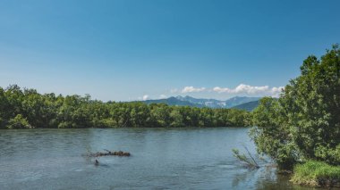 Mavi nehir sakince akar. Bankalardaki yemyeşil bitki örtüsü. Gök mavisi gökyüzüne karşı pitoresk bir dağ sırası. Kamçatka..