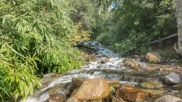 The stream flows along a rocky bed. The water is foaming. Wet boulders in the foreground. There is lush green vegetation on the banks. Kamchatka