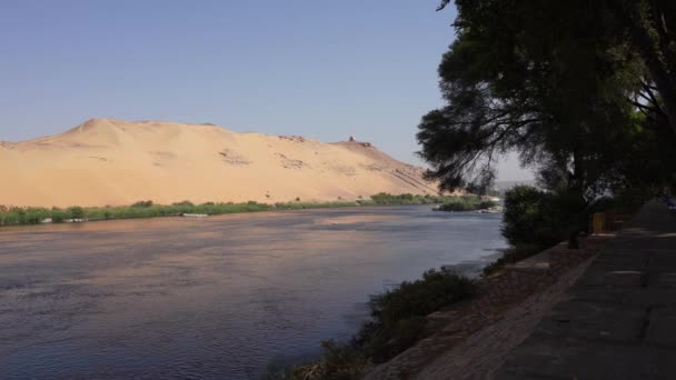 Nile River Flows Calmly Tree Branches Sway Paved Embankment Park — Stock Video