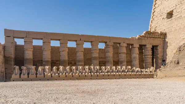 Ряд Скульптур Сфинкс Баранов Древнем Карнакском Храме Луксора Статуями Колоннада — стоковое фото