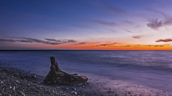 Die Meereswelle Zieht Einen Alten Malerischen Baumstamm Ins Wasser Abends — Stockfoto