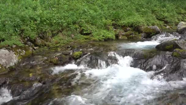 Claro Transparente Arroyo Montaña Fluye Rápidamente Largo Lecho Rocoso Las — Vídeos de Stock