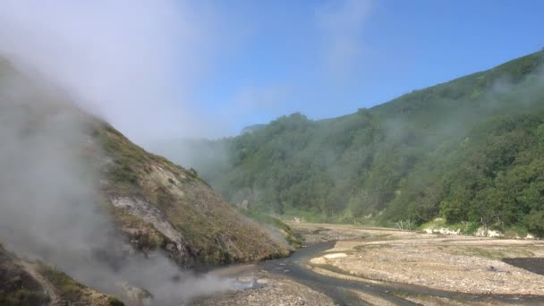 Kayalık Nehir Yatağında Gayzerler Görülebilir Sıcak Kaynaklarının Buharı Yerde Uçuşuyor — Stok video