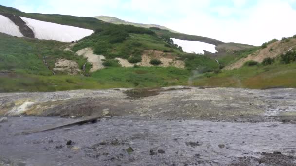 溪流从温泉流出来 土壤中的硫磺沉积 蒸汽在地面上盘旋 飞向天空 附近是绿树成荫的山 山坡上有雪 堪察加半岛 — 图库视频影像
