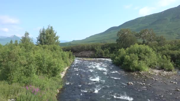 Río Fluye Valle Día Soleado Agua Hierve Hace Espuma Una — Vídeos de Stock