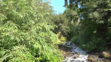 Taşların üzerinden hızlı bir dere akıyor. Kıyılarda yeşil yapraklı ağaçlar var. Rüzgar dalları sallar. Mavi gökyüzü. Güneşli bir yaz günü. Kamçatka.