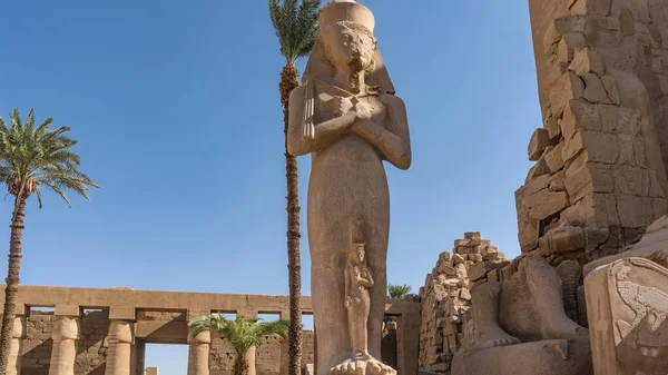 Antiga Estátua Faraó Ramsés Templo Karnak Luxor Uma Figura Alta — Fotografia de Stock
