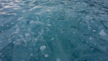 Turkuaz buzun dalgalı yüzeyi. Yakın plan. Tam ekran. Kesişen çatlaklar ve donmuş metan gazı baloncukları kolonları görülebilir. Baykal.