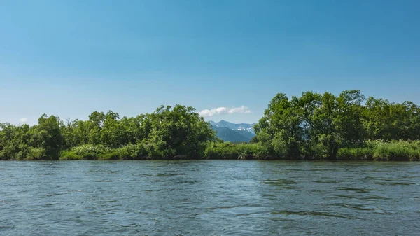 Mavi nehir sakince akar. Sudaki dalgalanmalar. Kıyıda yemyeşil bitki örtüsü var. Gök mavisi gökyüzüne karşı dağlar. Kamçatka..
