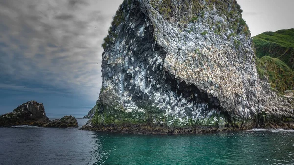 Uma Pitoresca Rocha Ergue Acima Oceano Locais Nidificação Dos Pássaros Fotografia De Stock