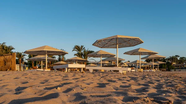 Manhã Praia Guarda Chuvas Sol Cadeiras Vazias Sombras Luz Superfície — Fotografia de Stock