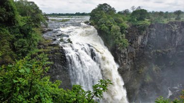 Platonun kenarından vadiye doğru güçlü bir akıntı çöküyor. Su köpükleri dik kayalık yamaçlarda. Çevredeki yemyeşil bitki örtüsü. Victoria Falls. Zimbabwe.