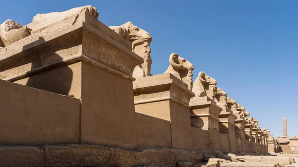 Anciennes Sculptures Délabrées Sphinx Avec Des Têtes Béliers Dressent Rangée — Photo