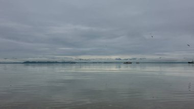Gemiler pürüzsüz, parlak Pasifik Okyanusu 'nda yelken açarlar. Kuşlar bulutlu bir gökyüzünde uçuyor. Ufukta alçak bulutlar tarafından gizlenmiş bir sıradağ görünüyor. Yansıma. Petropavlovsk - Kamçatsky