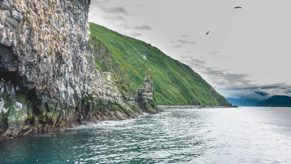 Rocky Island Steep Slopes Rises Pacific Ocean Birds Nests Stones — Zdjęcie stockowe