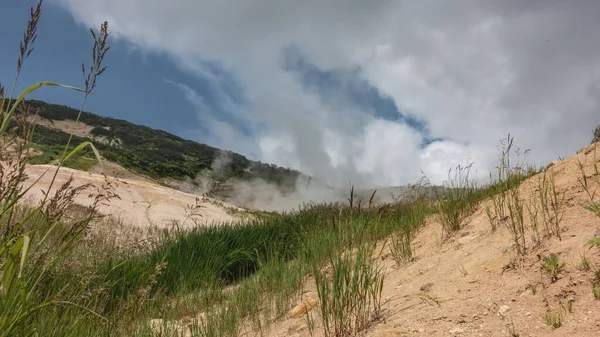 Green Grass Grows Sandy Soil Thermal Valley Steam Hot Springs — стокове фото