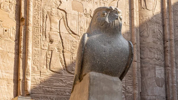 Edfu 'daki Horus tapınağının arka planında bir şahin heykeli. Kuşun granit heykeli hasar görmüş. Taş duvarda hiyeroglifler ve oyulmuş tanrıların resimleri görülebilir. Mısır