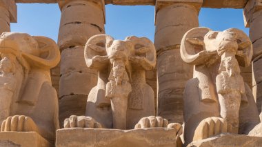 Koçbaşı olan sfenks heykelleri. Yakın plan. Firavunların figürleri efsanevi yaratıkların pençeleri arasında duruyor. Arkasında - sütun, mavi gökyüzü. Karnak Tapınağı. Şatafatlı. Mısır 