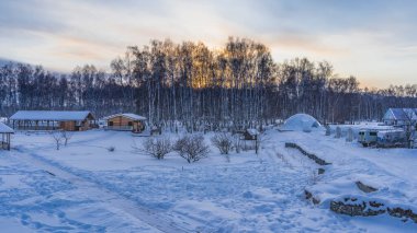 Sibirya 'da karla kaplı bir kamp alanı. Karlar arasında yollar açılır. Küçük ahşap evler görülebilir. Gün batımına karşı bir huş ağacının gövdesi ve dalları. Altai Cumhuriyeti