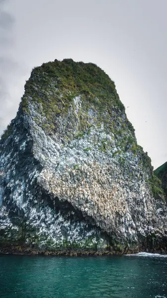 一个风景如画的悬崖 陡峭的斜坡映衬着多云的天空 岩石上的鸟巢 碧绿的大海堪察加半岛Starichkov岛 — 图库照片