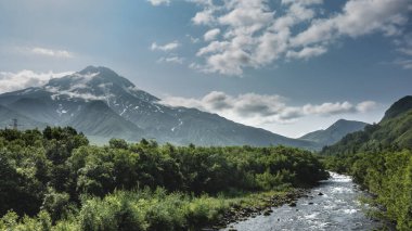 Kayalık bir yatakta bir dağ nehri kaynıyor ve köpürüyor. Bankalardaki yemyeşil bitki örtüsü. Mavi gökyüzü ve bulutların arka planında güzel bir konik volkan. Kamçatka. Stratovolcano Vilyuchinsky