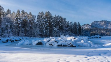 Donmuş nehrin kıyısında resimle kaplı karla kaplı kayalar görülebilir. Mavi gökyüzüne karşı kozalaklı orman ve dağlar. Işık ve gölgeler. Altai Cumhuriyeti. Katun.