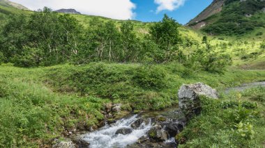 Nehir yeşil bir çayır boyunca akar. Kayalıklardaki su köpükleri. Kıyılarda yemyeşil çimenler. Orman ve dağlar mavi gökyüzüne karşı. Kamçatka..